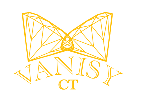 VanisyCT.com